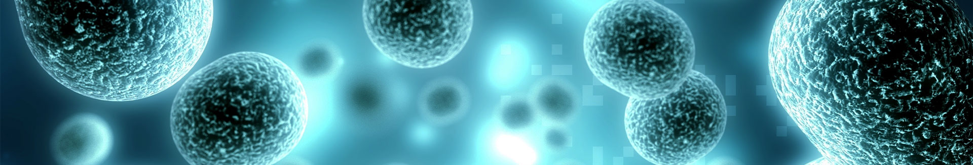 Lab filtration banner