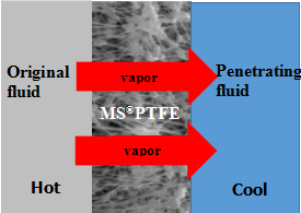 PTFE Distillation Membrane