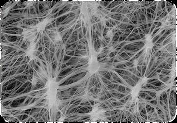 PTFE Hydrophobic Membrane