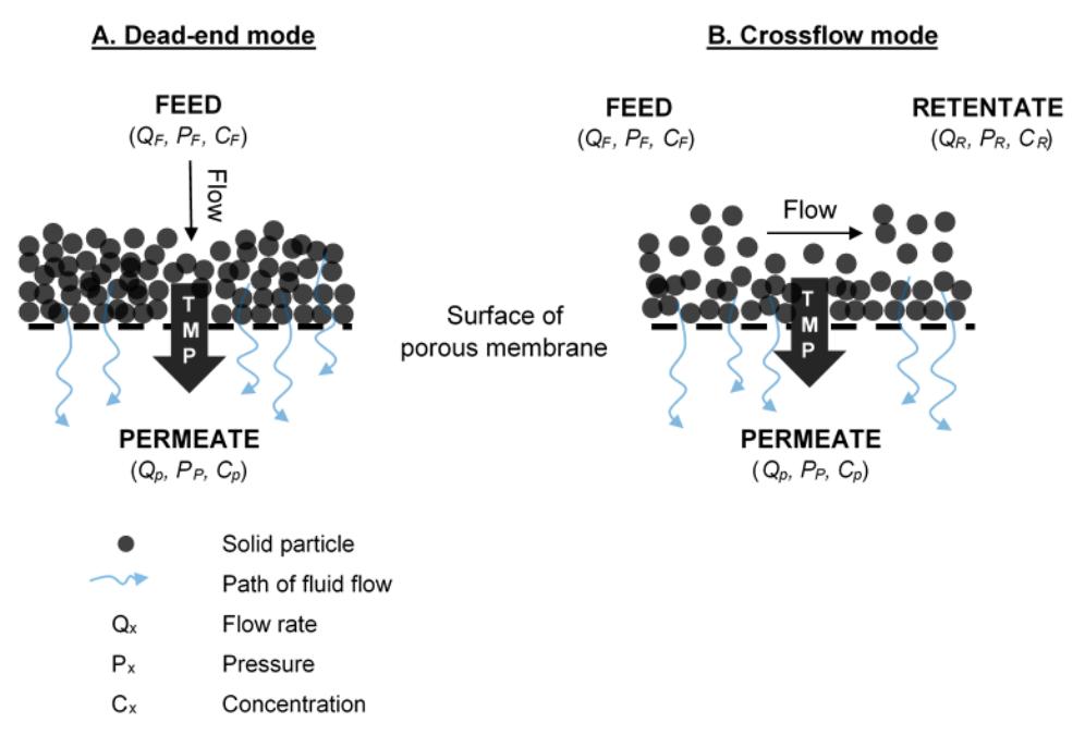 Schematic Diagram of A dead-end Filtration and B Tangential Flow Filtration