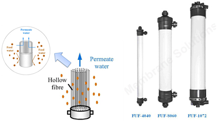 Column hollow fiber membrane module