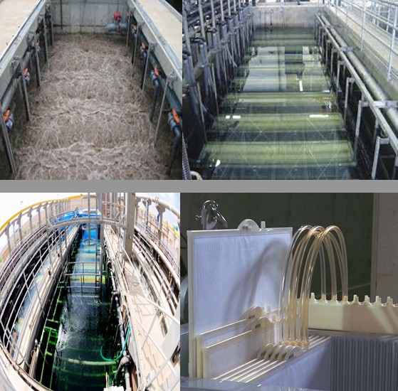 waste water treatment